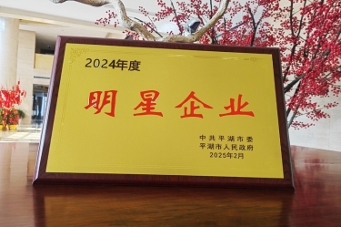 新春新景新氣象 | 景興紙業(yè)在平湖三干大會上喜摘榮譽(yù)！